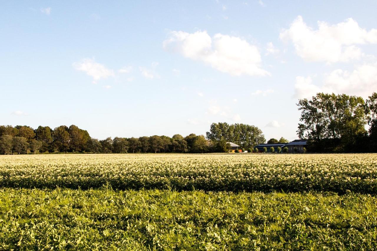B&B Bij Kaatt Wolphaartsdijk Esterno foto